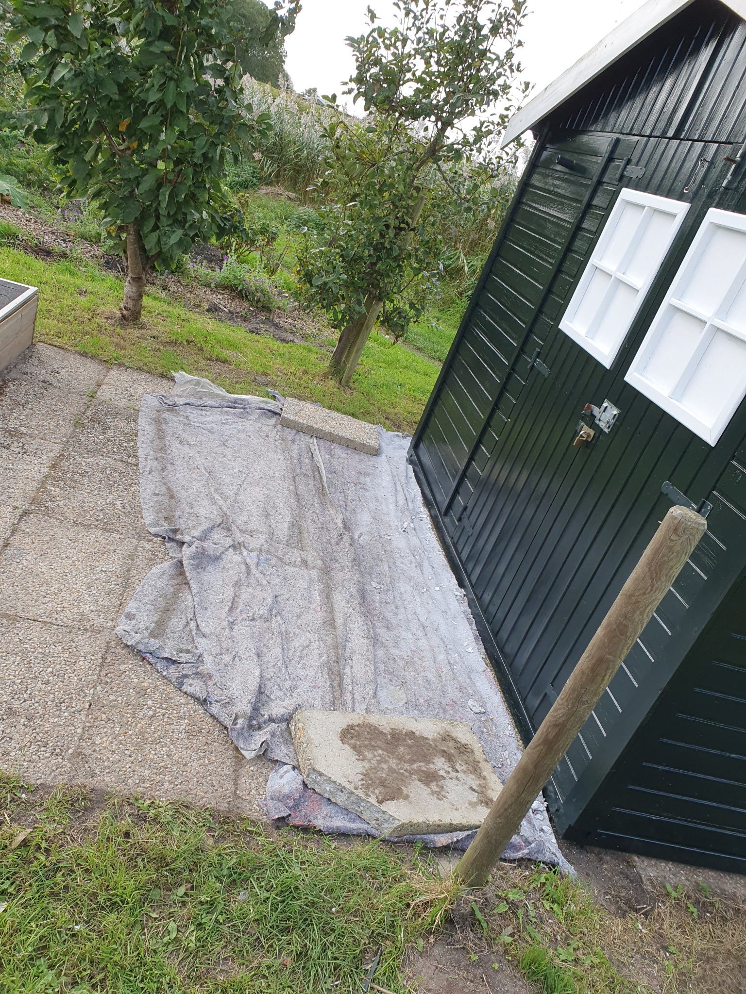 Malowanie drewnianej szopy ogrodowej na czarno, widoczne białe okna, rozłożona plandeka zabezpieczająca podłoże, świeżo pomalowana powierzchnia.