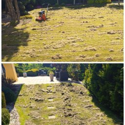 Wertykulacja trawnika 