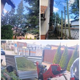 Na Błysk Klaudia Dufka - Skracanie drzew o wysokości 10m, rosnących blisko budynku. Następnie zmielenie gałęzi w rębaku.