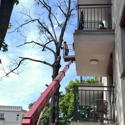 Wycinka w bardzo ciasnym miejscu 