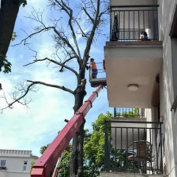 Wycinka w bardzo ciasnym miejscu