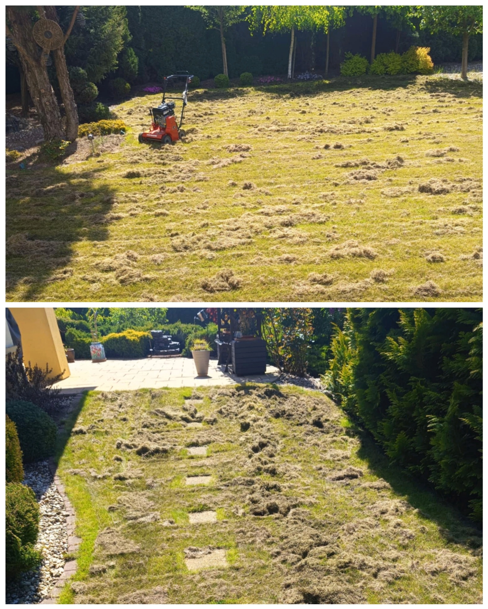 Wertykulacja trawnika