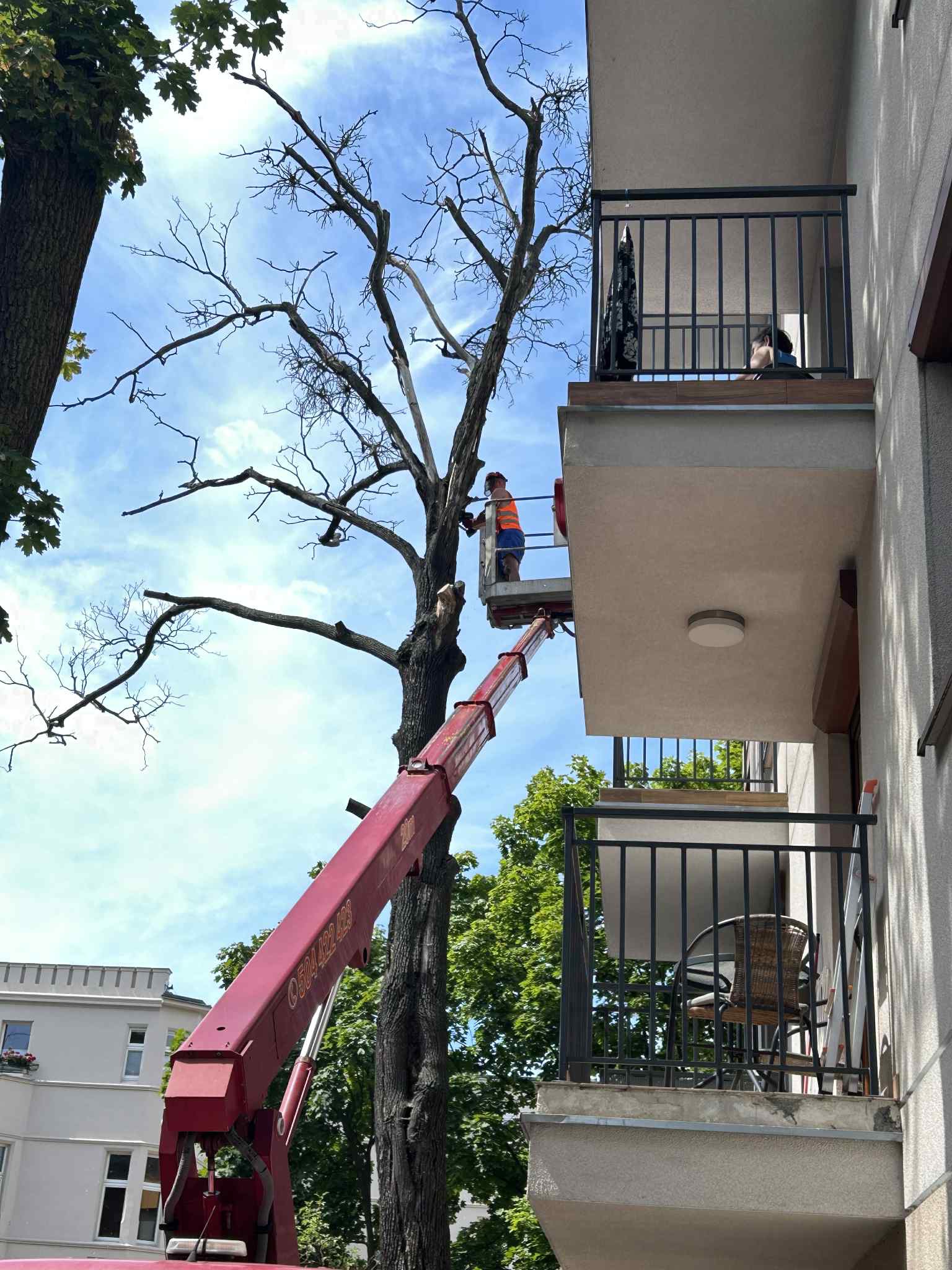 Wycinka w bardzo ciasnym miejscu