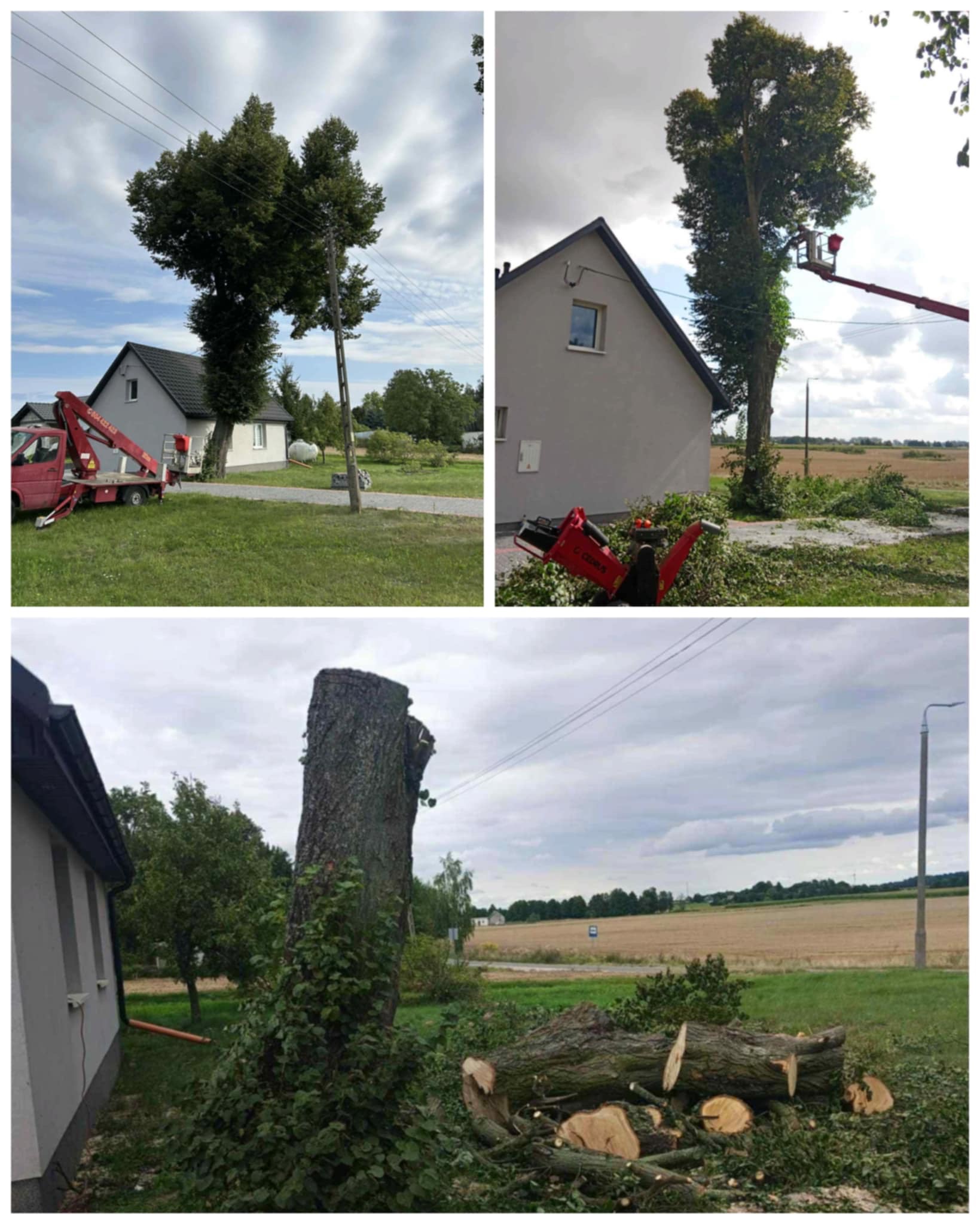 Wycinka drzewa w trzech ujęciach: przed, w trakcie z użyciem podnośnika, i po, z pniem oraz pociętymi gałęziami. Widoczny dom i krajobraz polny.