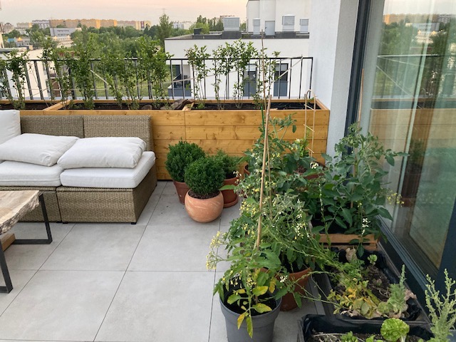 Jasny taras z szarymi płytkami, rattanowym narożnikiem z białymi poduchami i drewnianymi donicami z roślinami, widok na miasto w tle.