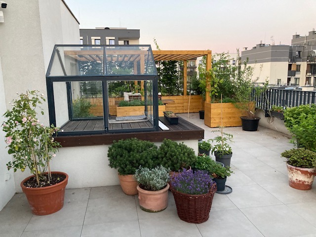 Urzekający ogród na dachu z drewnianą pergolą, szklarnią i różnorodnymi roślinami w donicach, tworzący zieloną oazę na tle miejskiego krajobrazu.