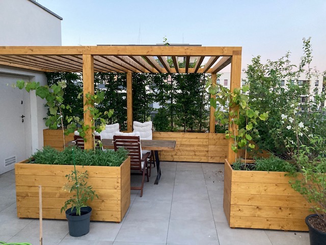 Drewniana pergola z roślinami w donicach na tarasie z szarymi płytkami, widok na budynki w tle.