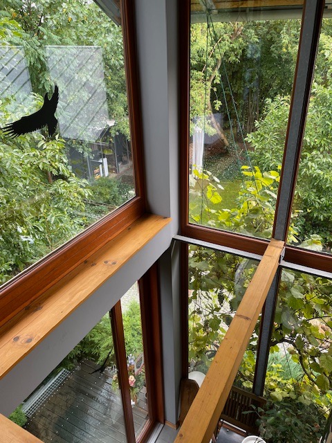 Wnętrze domu z drewnianą konstrukcją szkieletową, widok z góry na taras i zieleń za oknem, na szybie naklejka z sylwetką ptaka.