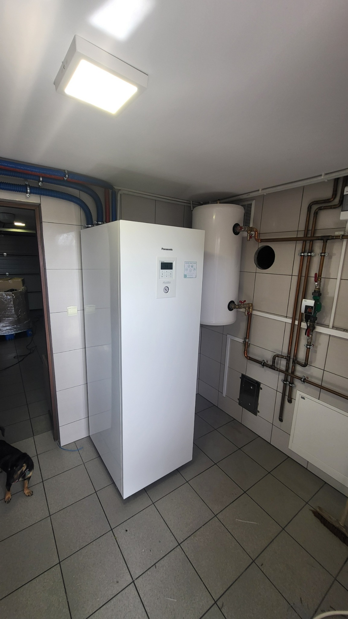 Biała pompa ciepła Panasonic Aquarea, z podłączonym zasobnikiem ciepłej wody, zainstalowana w pomieszczeniu z wykafelkowanymi ścianami i podłogą; widoczne rury instalacyjne i fragment psa w lewym...