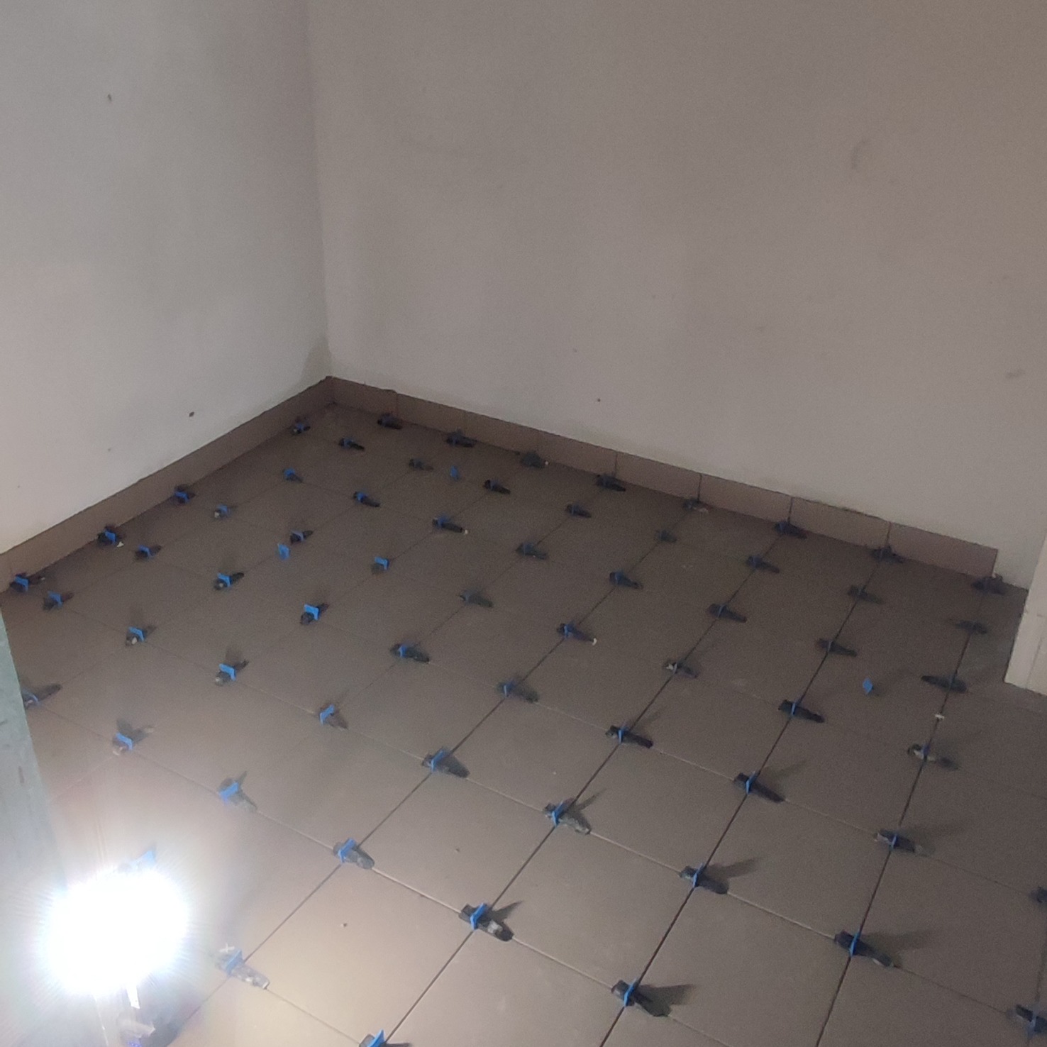 Układanie brązowych płytek podłogowych z użyciem niebieskich klipsów poziomujących w jasnym pomieszczeniu. Widok z góry, etap prac przed fugowaniem.