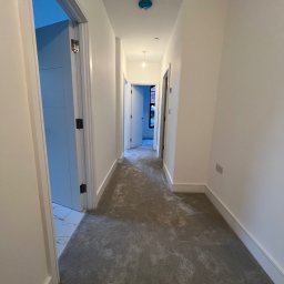 Przedpokój, malowanie listw przypodłogowych , ściany, drzwi , sufity pod klucz 