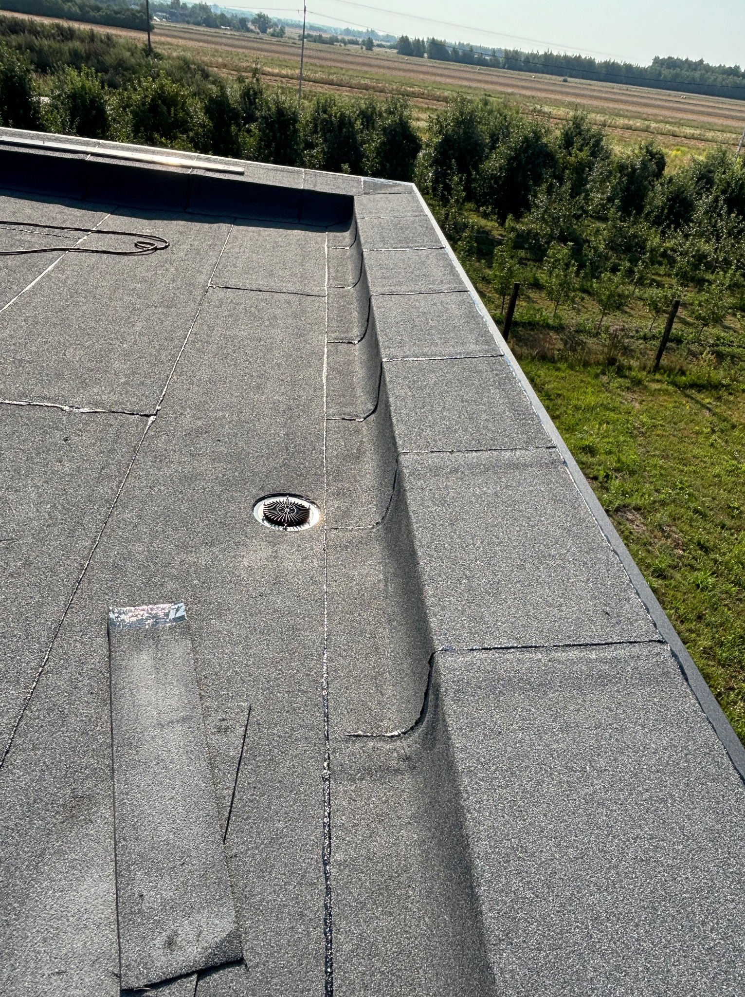 Wykończony, płaski dach pokryty papą z widocznym odpływem wody i fragmentem niezabezpieczonej krawędzi papy w słoneczny dzień.