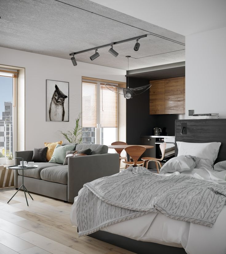 Wnętrze nowoczesnej kawalerki o powierzchni 38m2 z widoczną strefą dzienną z szarą sofą, stolikiem kawowym i dekoracyjnym obrazem sowy oraz strefą sypialną z niepościelonym łóżkiem przy ścianie...