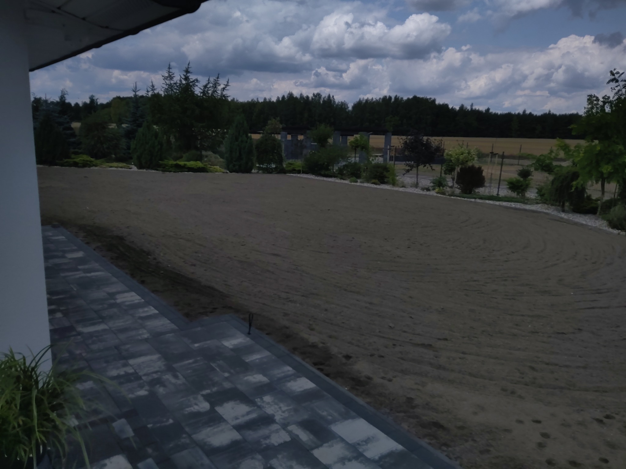 Przygotowany teren pod trawnik, widok z tarasu na wyrównaną ziemię z widocznymi śladami bronowania, w tle drzewa i pochmurne niebo.