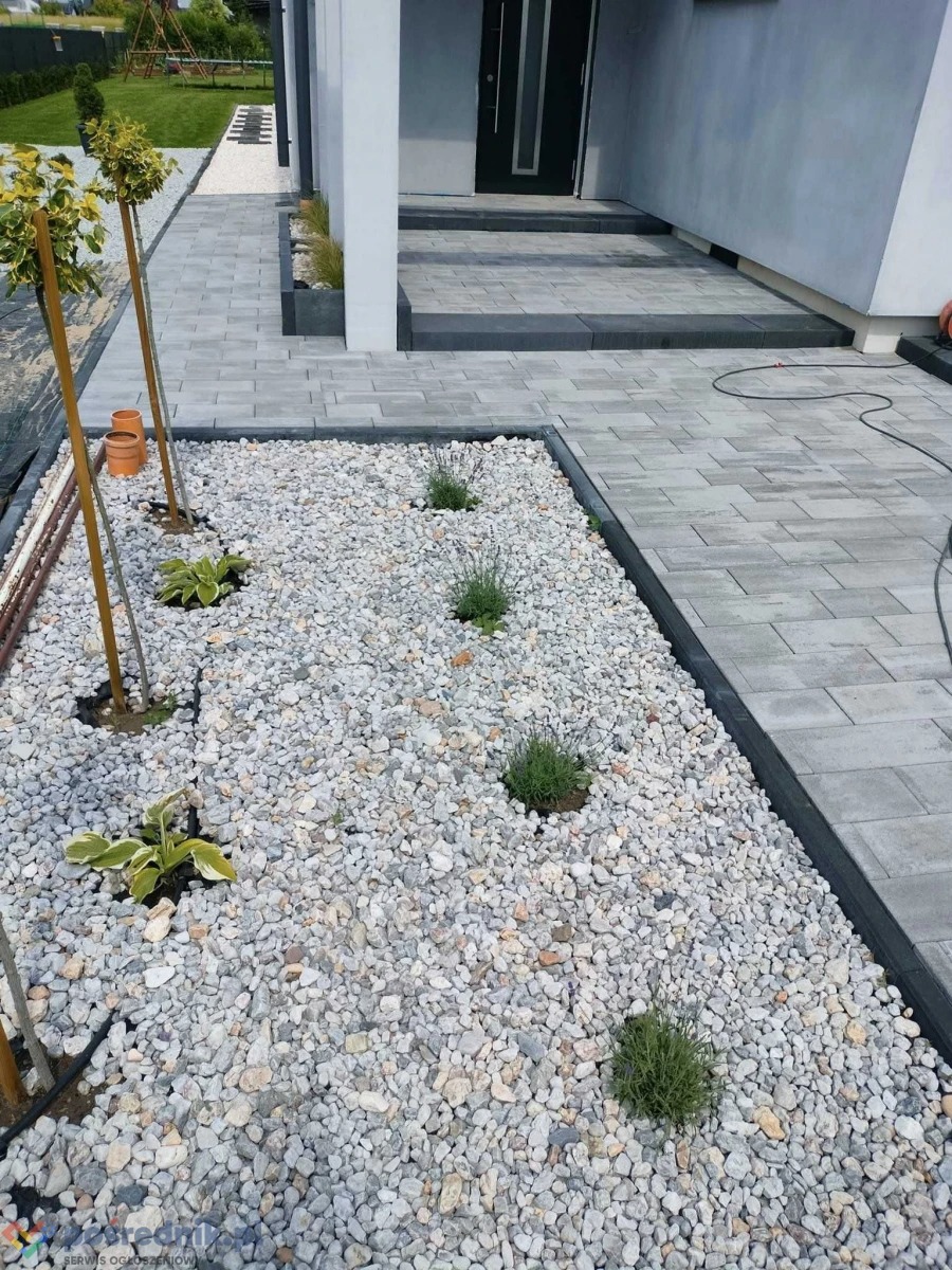Szara kostka brukowa prowadząca do wejścia domu, obok rabata z białych kamieni, niskich roślin i młodych drzewek w donicach.