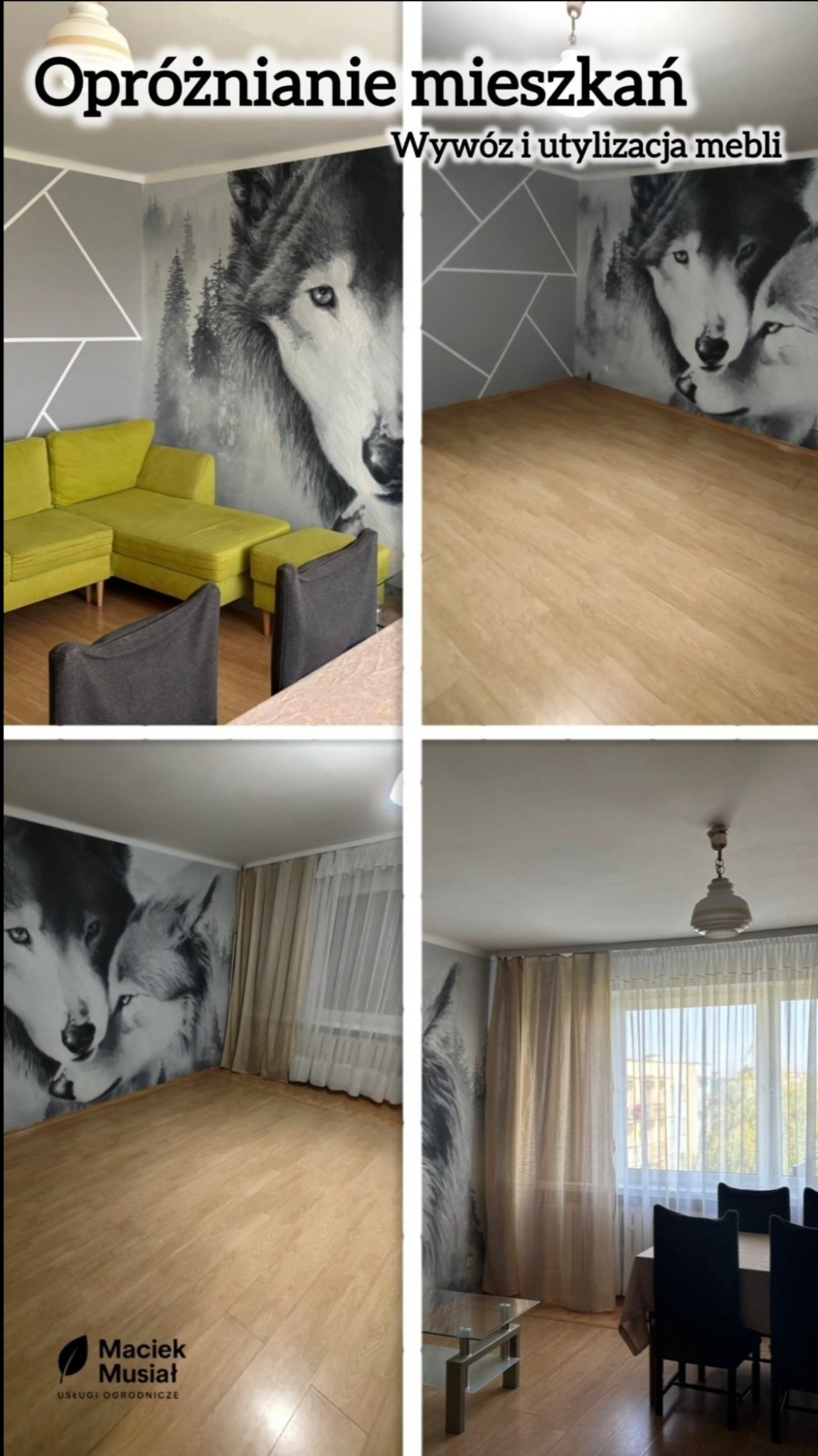 Czteropanelowe ujęcie opróżnionego mieszkania z tapetą z motywem wilków. Widoczny żółty narożnik, krzesła i stół. Podłoga jasna, drewnopodobna. Okno z firankami.
