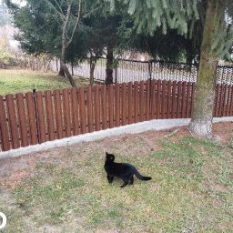 Malowanie dachów Sokołów Podlaski 4