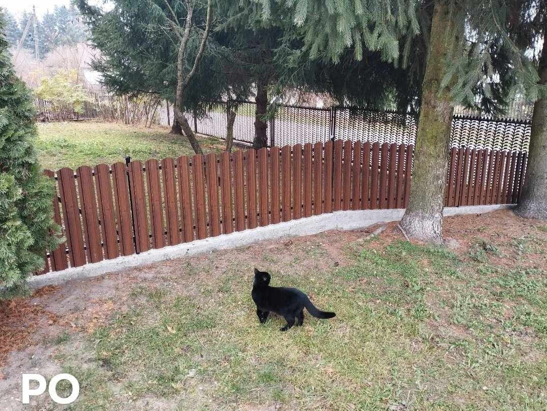 Brązowe ogrodzenie panelowe z podmurówką betonową, czarny kot na trawniku, drzewa iglaste w tle.