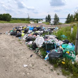 Transport busem Będzin 3