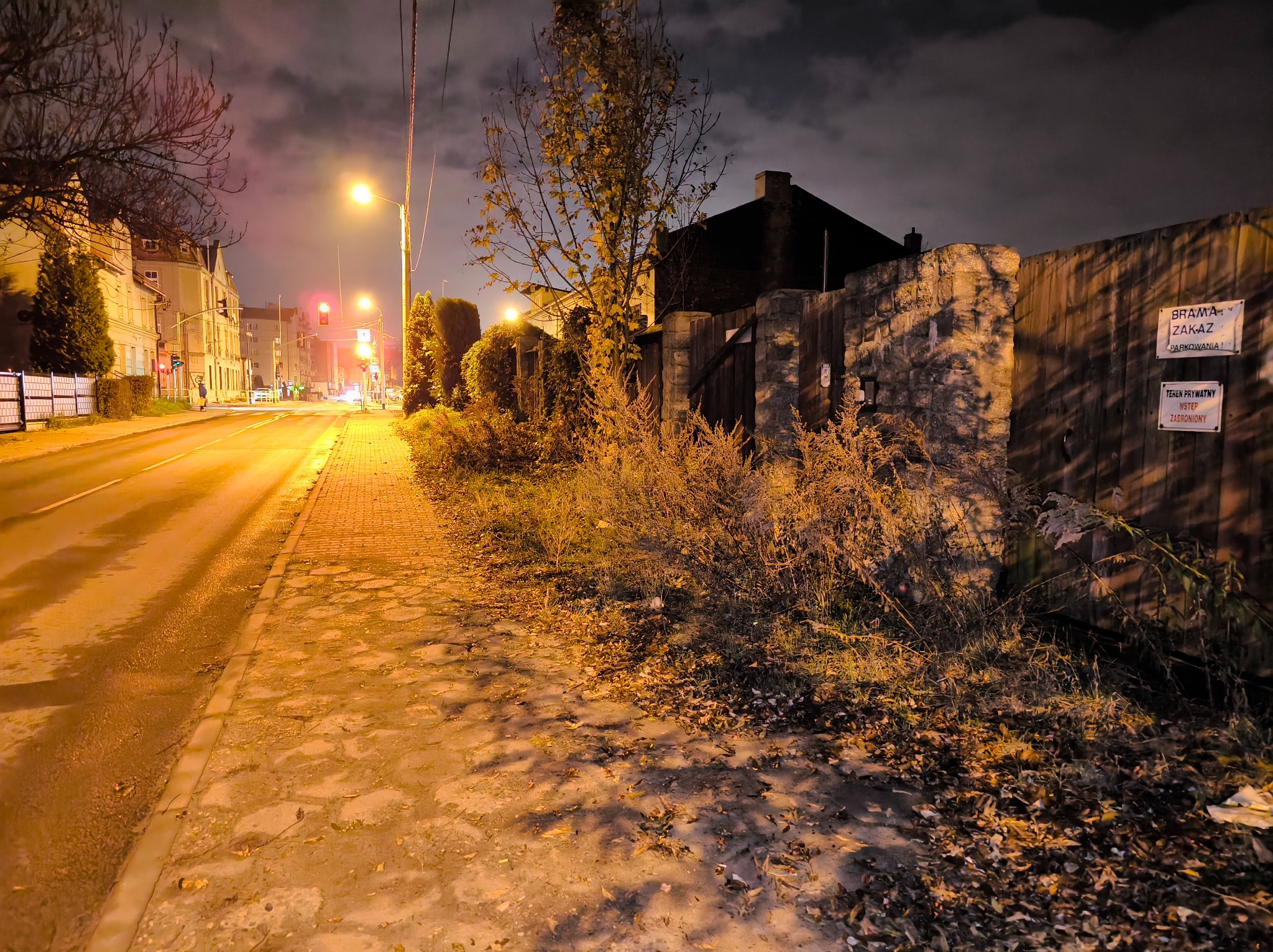 Nocny widok na ulicę z chodnikiem i budynkami w tle, oświetloną latarniami. Na pierwszym planie zarośla i ogrodzenie z tabliczkami informacyjnymi.
