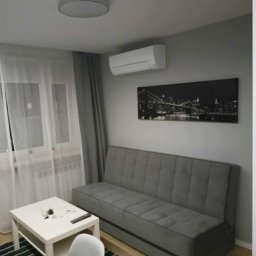 AleksanderBorsukUsługiRemontowe - Szare wnętrze pokoju dziennego z rozkładaną sofą, białym stolikiem kawowym z pilotem i rośliną, czarno-białym obrazem miasta na ścianie oraz klimatyzatorem.