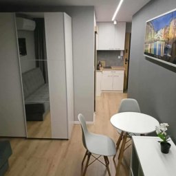 AleksanderBorsukUsługiRemontowe - Wnętrze małego mieszkania z aneksem kuchennym, szafą z lustrzanymi drzwiami, okrągłym stołem i dwoma krzesłami oraz obrazem na szarej ścianie.