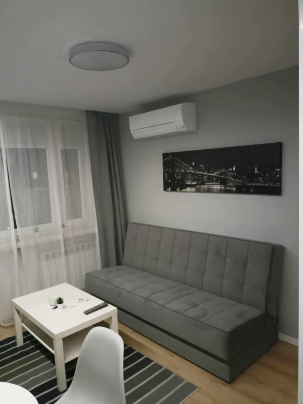 Szare wnętrze pokoju dziennego z rozkładaną sofą, białym stolikiem kawowym z pilotem i rośliną, czarno-białym obrazem miasta na ścianie oraz klimatyzatorem.