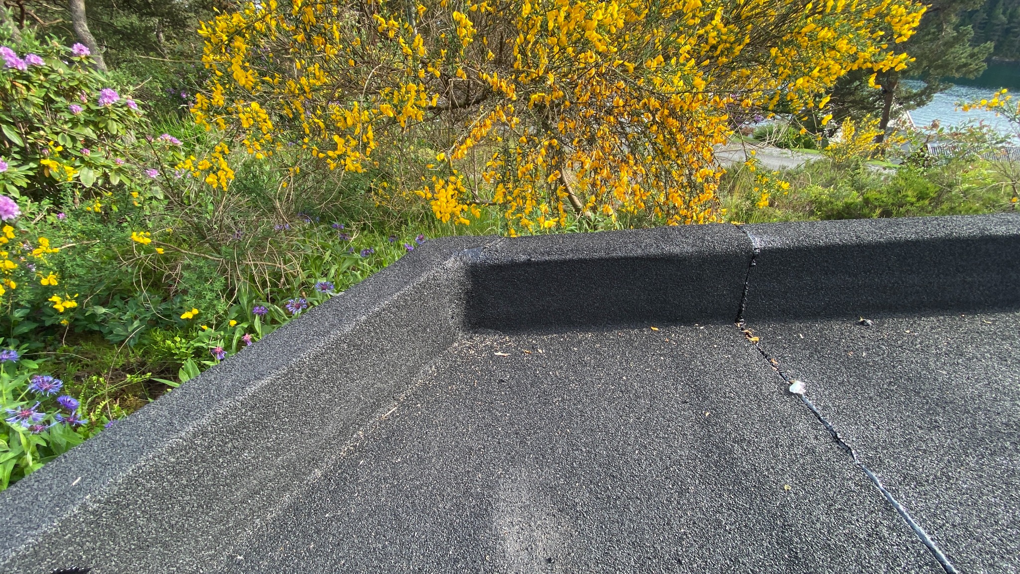 Czarny, płaski dach z widocznym łączeniem, na tle kwitnących krzewów i drzew, z perspektywy dachu. Widoczne detale struktury dachu i otaczającej zieleni.