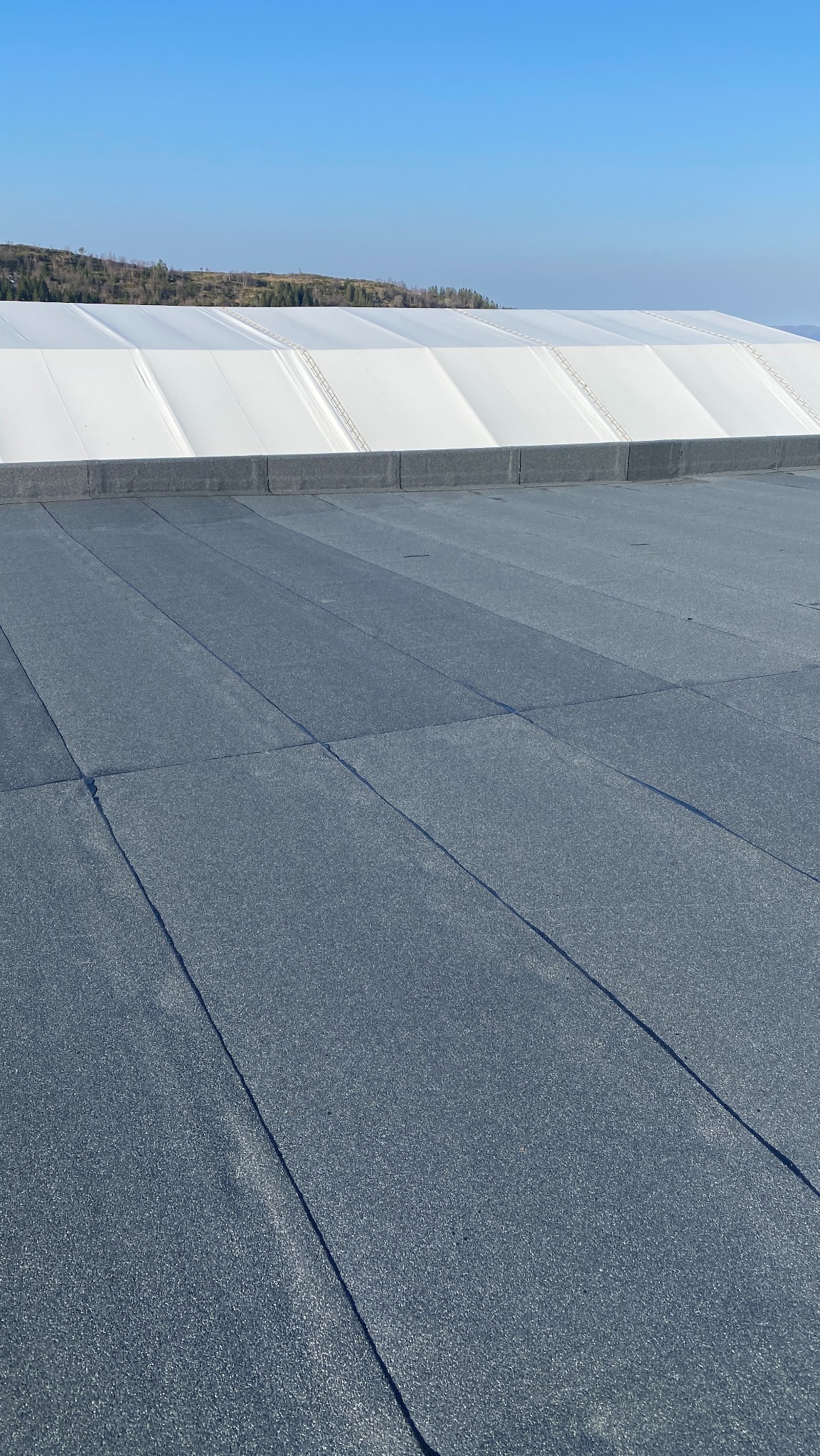 Szary, płaski dach z papy na tle białej hali namiotowej i błękitnego nieba. Widoczne łączenia papy. Ujęcie z góry, podkreślające strukturę i równość powierzchni.