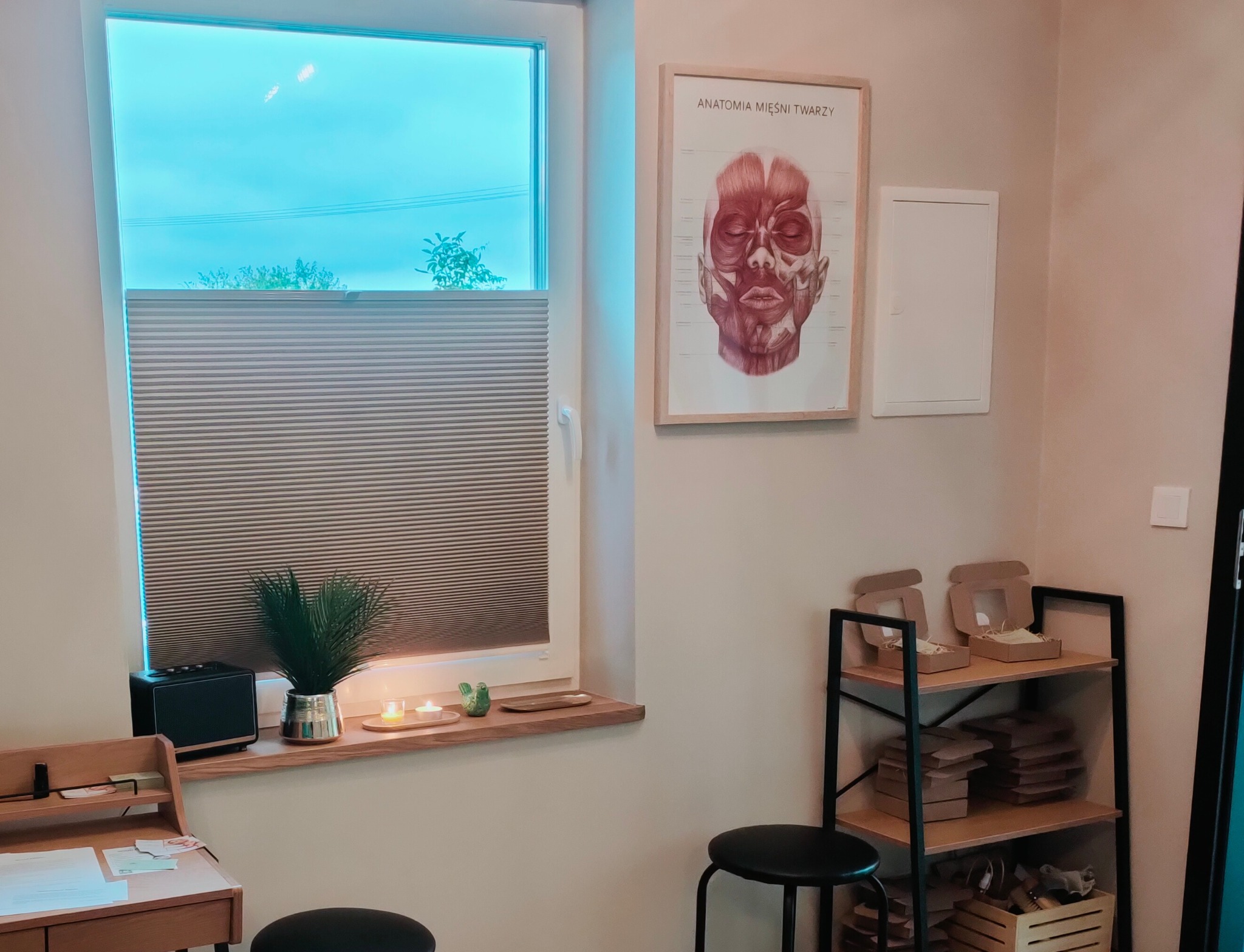Wnętrze gabinetu z plakatem anatomii mięśni twarzy, rośliną w srebrnej doniczce na parapecie, świecami i regałem z kartonowymi pudełkami.
