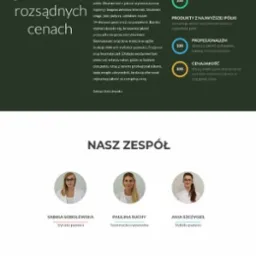 Zrzut ekranu strony internetowej salonu urody Zmalowana z Siemianowic Śląskich, prezentujący logo, menu nawigacyjne, ofertę usług (paznokcie, fryzjerstwo, makijaż, rzęsy), informacje kontaktowe...