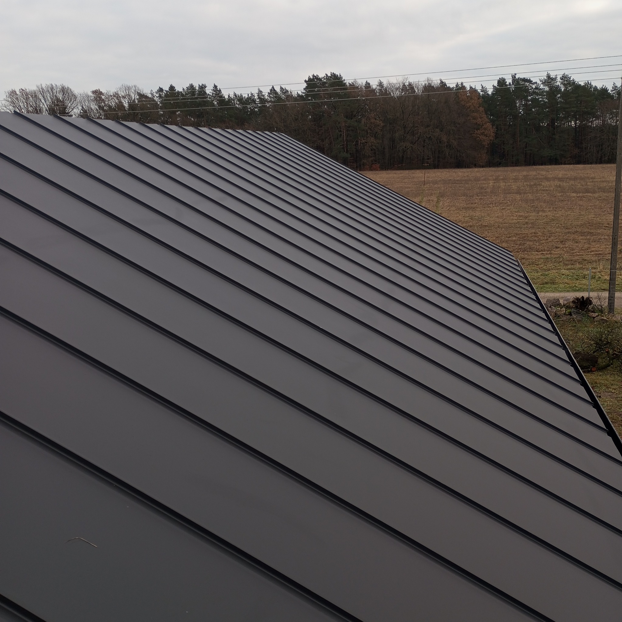 Szary dach z blachy na tle jesiennego krajobrazu. Widoczne równoległe linie łączeń blachy, drzewa w oddali i fragment pola. Minimalistyczny design.