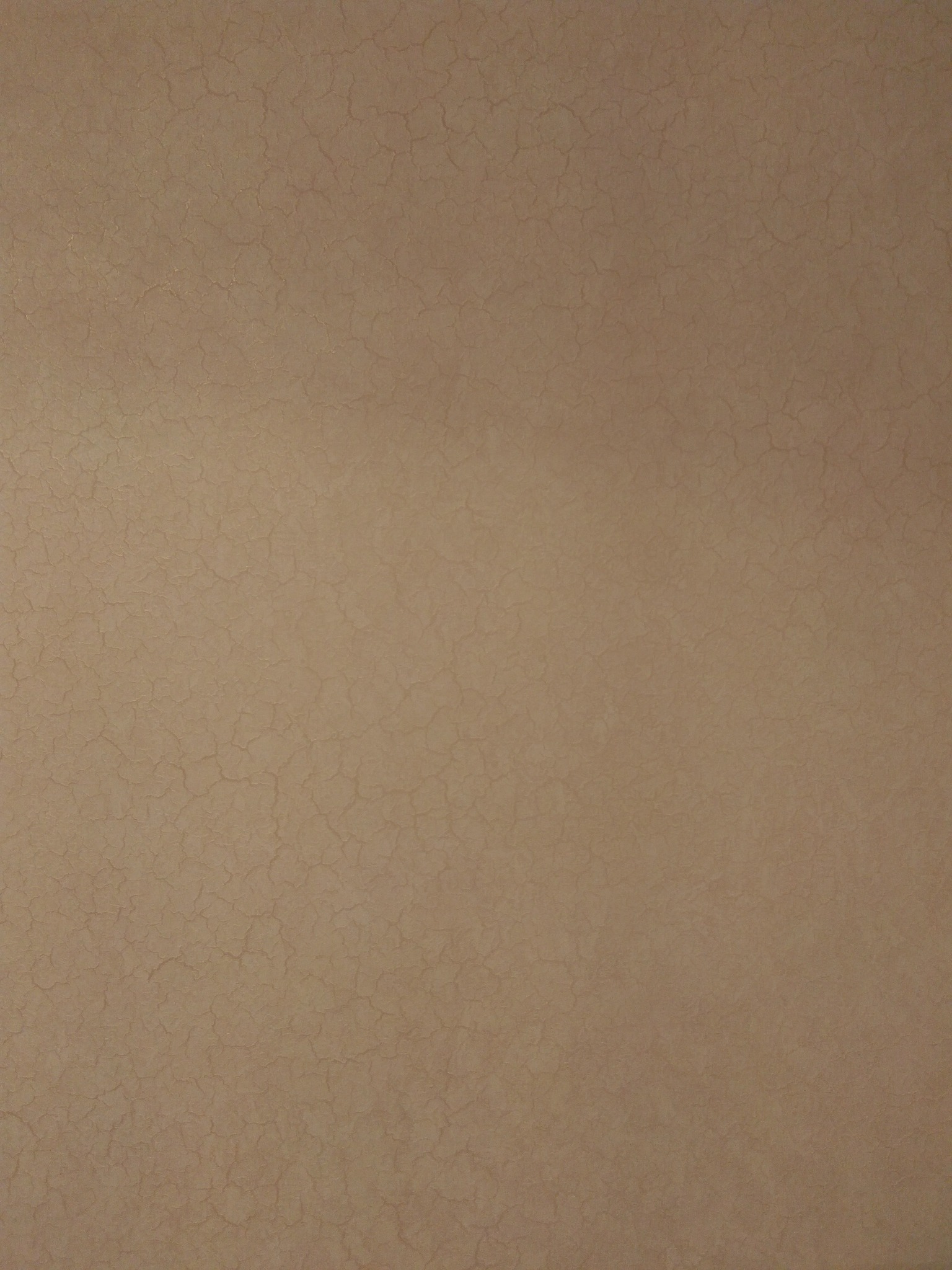 Beżowa ściana z subtelnym, spękanym wzorem, przypominającym starą glinę lub tynk strukturalny.