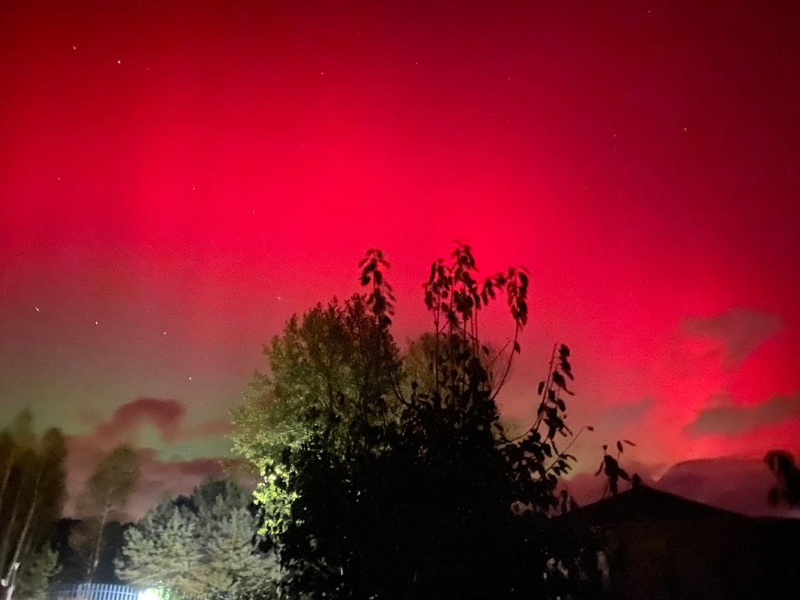 Nocne niebo z intensywną czerwoną zorzą polarną, widoczne drzewa i zarys zabudowań na pierwszym planie.