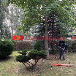 Grupa Serwisowa sp z o.o. - Mężczyzna w ogrodzie przycina drzewo za pomocą teleskopowych nożyc. Na trawie leżą grabie i gałęzie. W tle budynek mieszkalny i inne drzewa.
