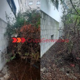 Sprzątanie biur Warszawa 3