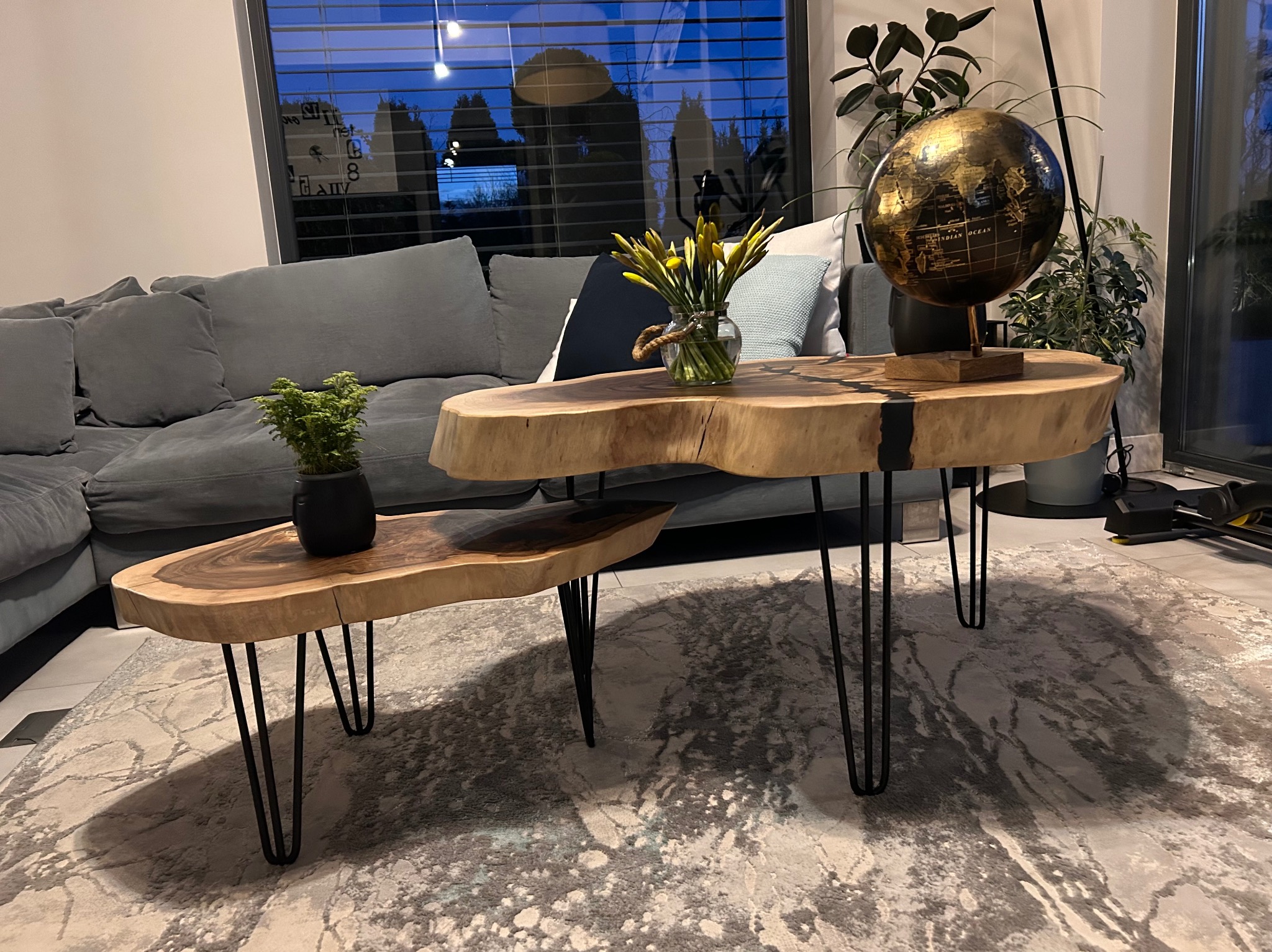 Dwa stoliki kawowe z blatem z litego drewna o nieregularnym kształcie, na metalowych nóżkach typu hairpin, w nowoczesnym salonie z szarą sofą i dywanem w odcieniach szarości i bieli. Na większym...