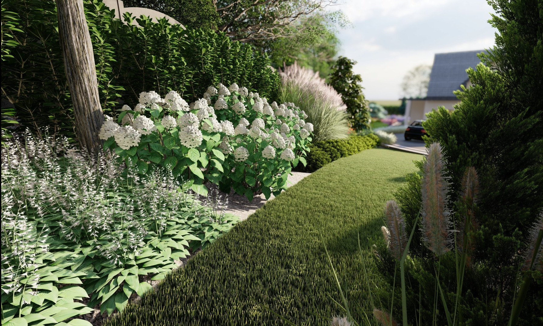 Kompaktowy ogród z równo przystrzyżonym trawnikiem, rabatami z białymi hortensjami i ozdobnymi trawami, prowadzący do domu z podjazdem.