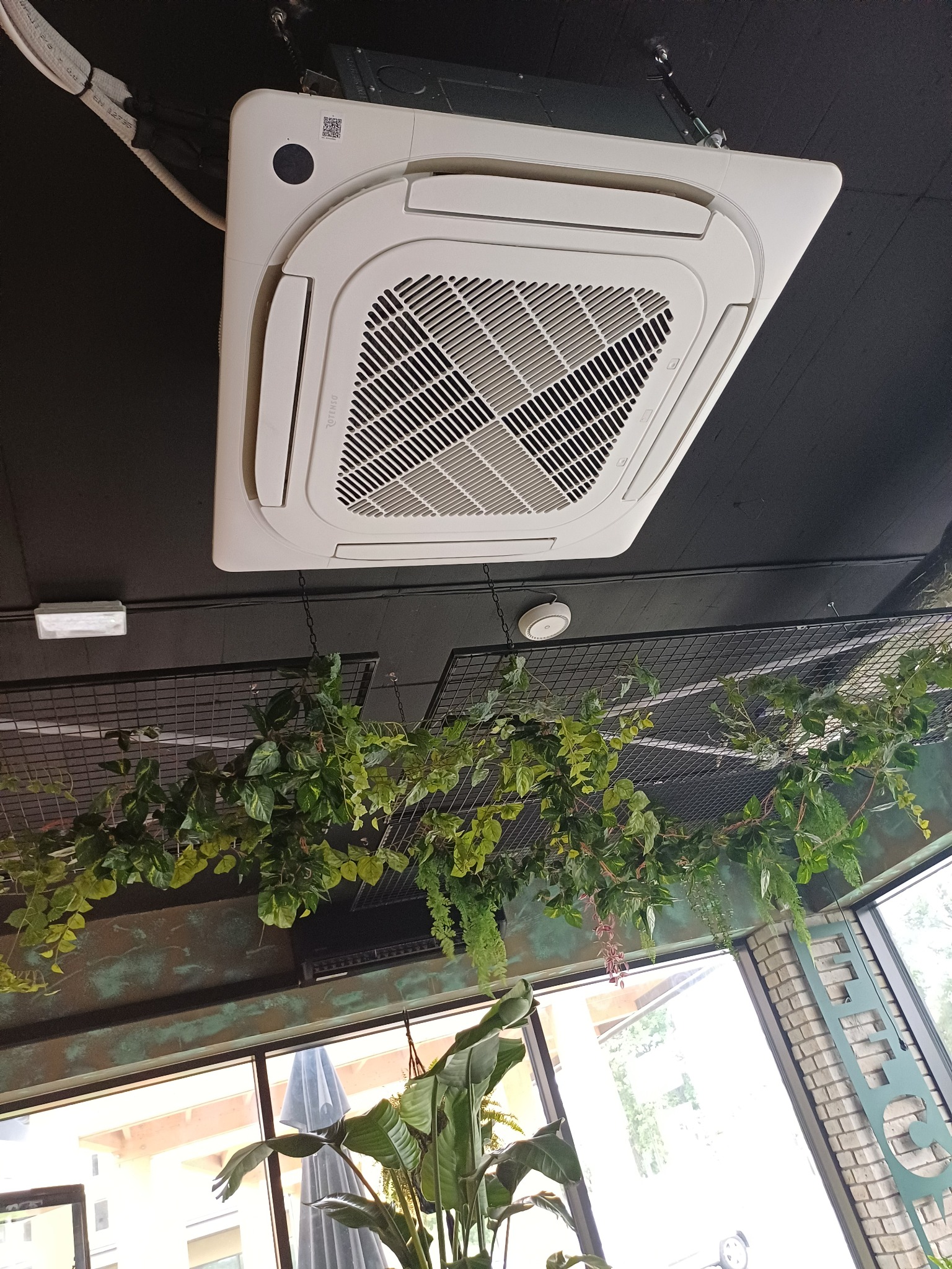 Kasetonowa klimatyzacja sufitowa w biurze z roślinami, widok z dołu. Biała obudowa urządzenia na tle ciemnego sufitu i zielonych pnączy.