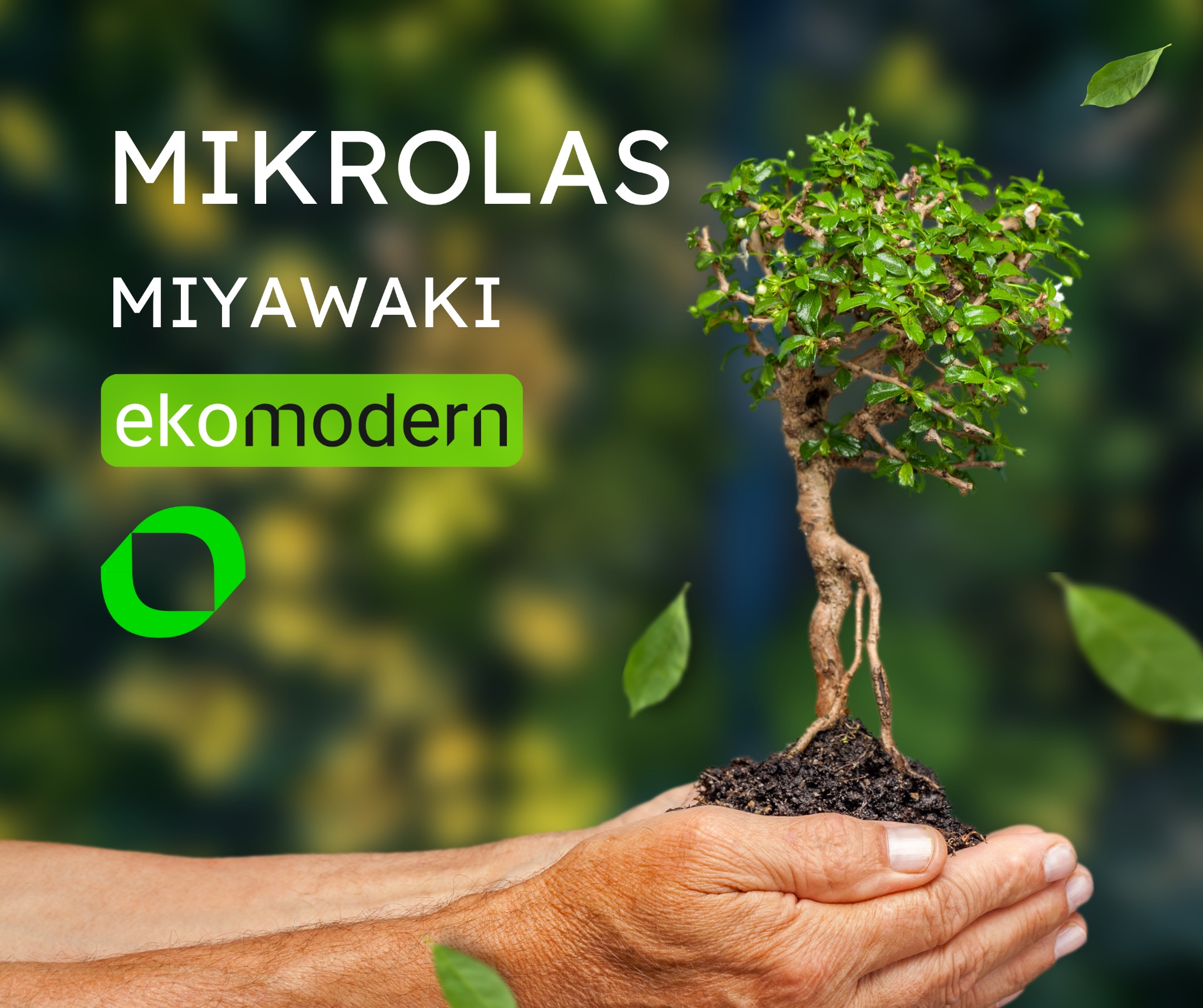 Dłonie trzymające małe drzewko bonsai na tle rozmytego ogrodu. Widoczne logo firmy 'ekomodern' i nazwa 'MIKROLAS MIYAWAKI'.