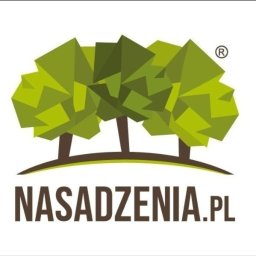 FIORI Sp. z o.o. - Trawa z Rolki Tarnowskie Góry