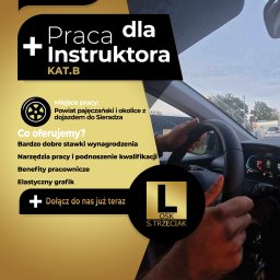 Grafika dla szkoły nauki jazdy