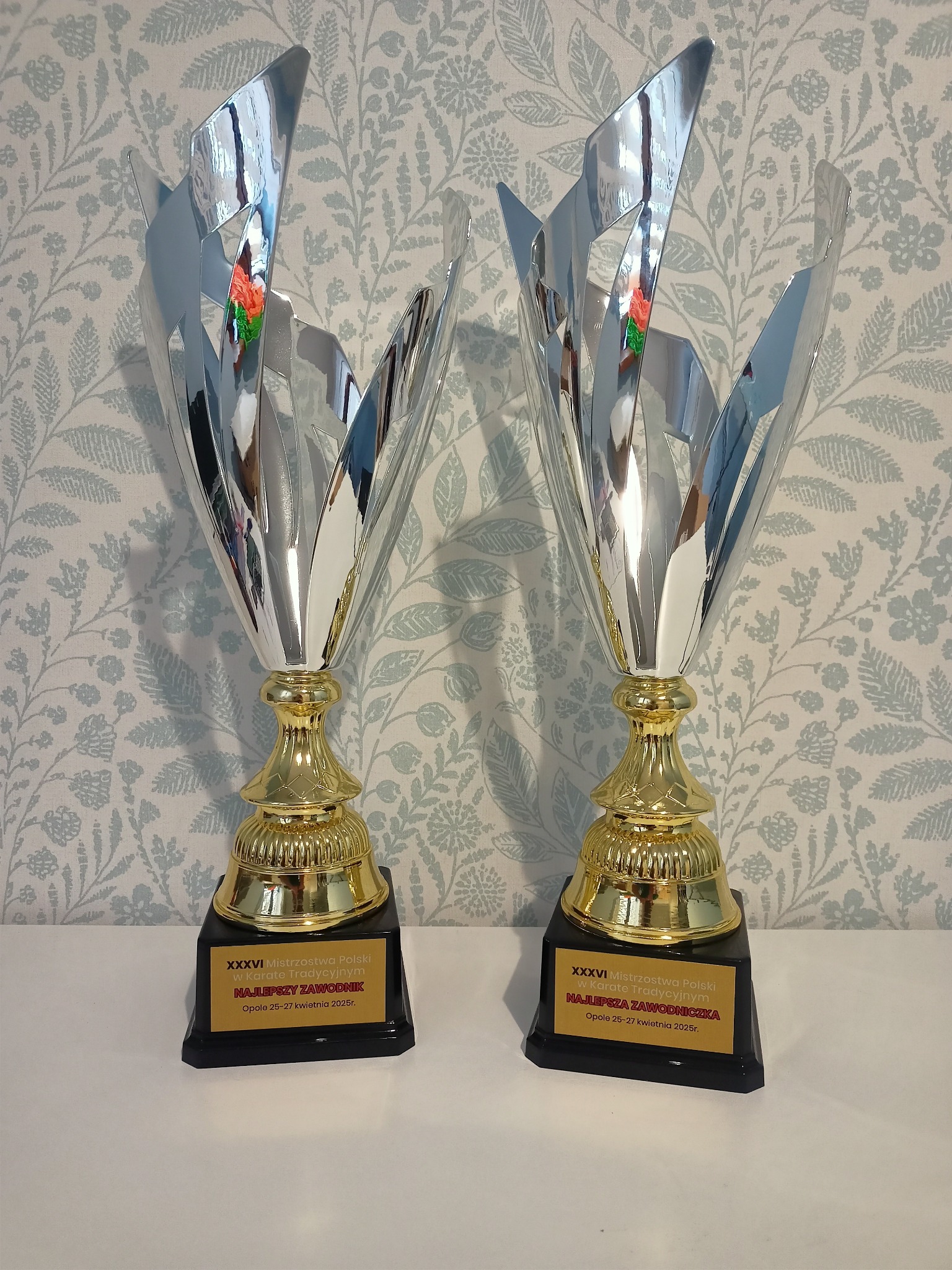 Puchary na Mistrzostwa Polska w karate