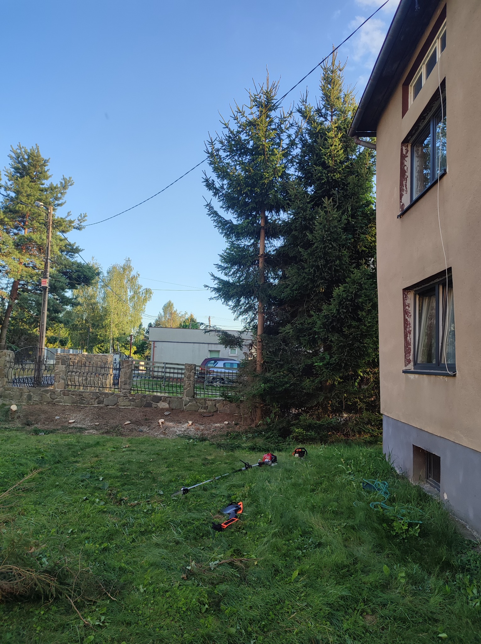 Wycinka drzew zagrażających budynkom i przewodą wysokiego napięcia/internetu