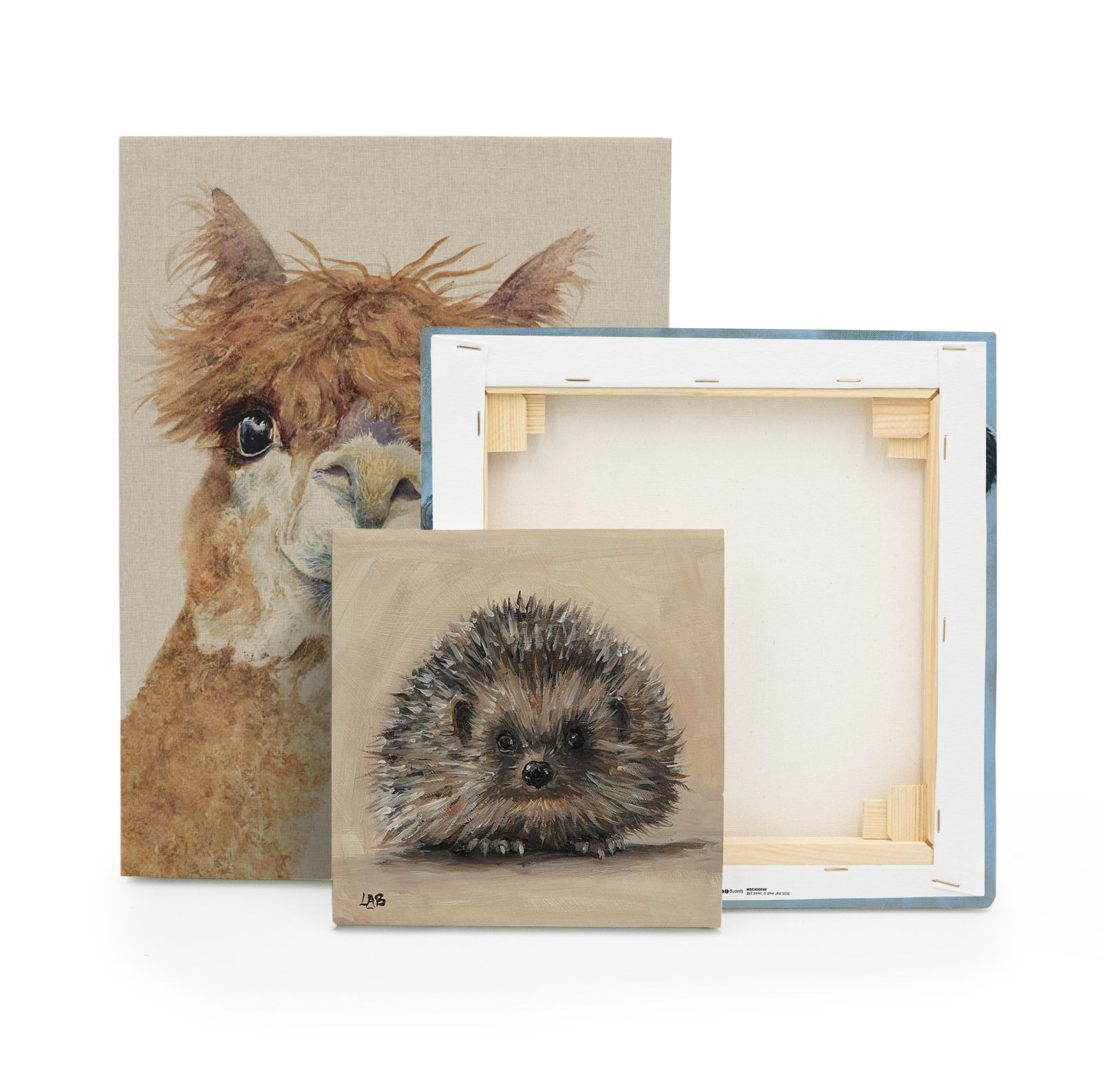 Dwa obrazy na płótnie: portret alpaki i jeża, widoczny tył jednego z płócien z drewnianą ramą.