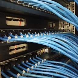 GUARD TECHNOLOGY SYSTEM MICHAŁ DĄBKOWSKI - Rząd niebieskich kabli sieciowych uporządkowanych w szafie rack, zabezpieczonych białymi opaskami zaciskowymi, widoczne porty urządzeń w tle.