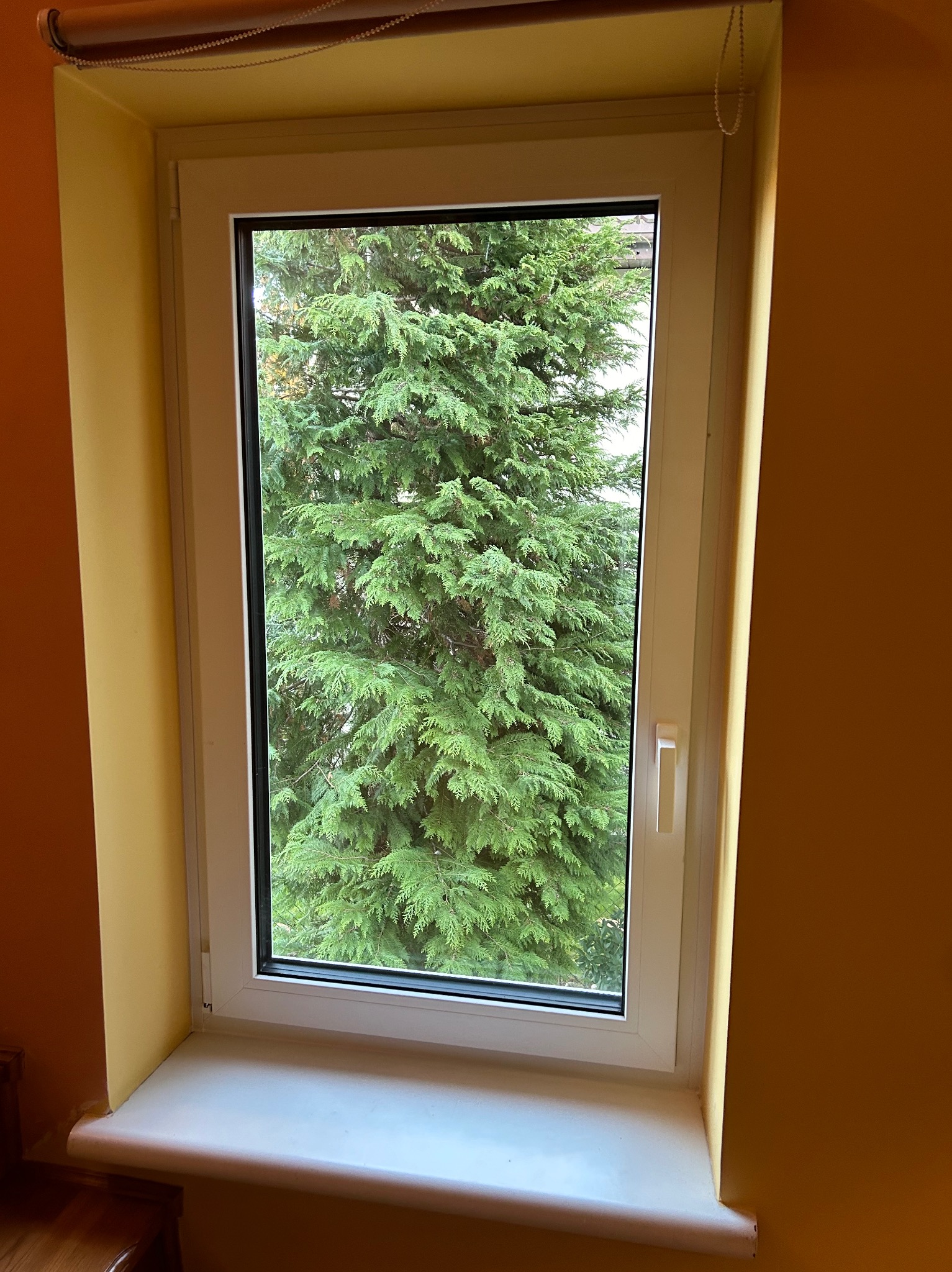 Białe okno z widokiem na gęste, zielone drzewo iglaste, uchwycone z wnętrza pomieszczenia o żółtych ścianach. Widoczny fragment parapetu i roleta zwinięta u góry okna.