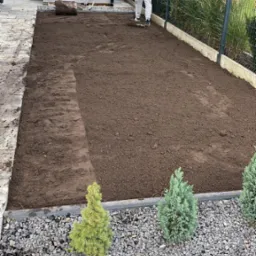 Przygotowanie podłoża pod trawnik: mężczyzna w jasnym kombinezonie wyrównuje ziemię grabiami na działce z widocznymi młodymi drzewkami iglastymi i drewnianą konstrukcją w tle.