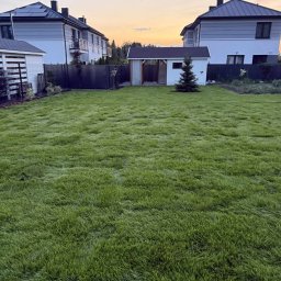 P.H.U Konrad Pacholczyk Metrycki - Rozległy trawnik przed domem z młodą choinką, widok na budynki w tle, oświetlone zachodzącym słońcem. Trawa wysoka, tworząca efekt falowania.