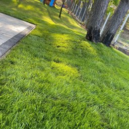 P.H.U Konrad Pacholczyk Metrycki - Ogrodnik Ożar&oacute;w Mazowiecki